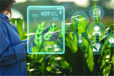 Incontri con ANCI per presentare le iniziative IoT - Immagine